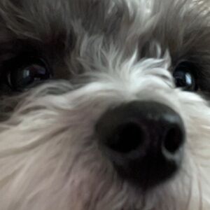 Meet your Posher, Caroline